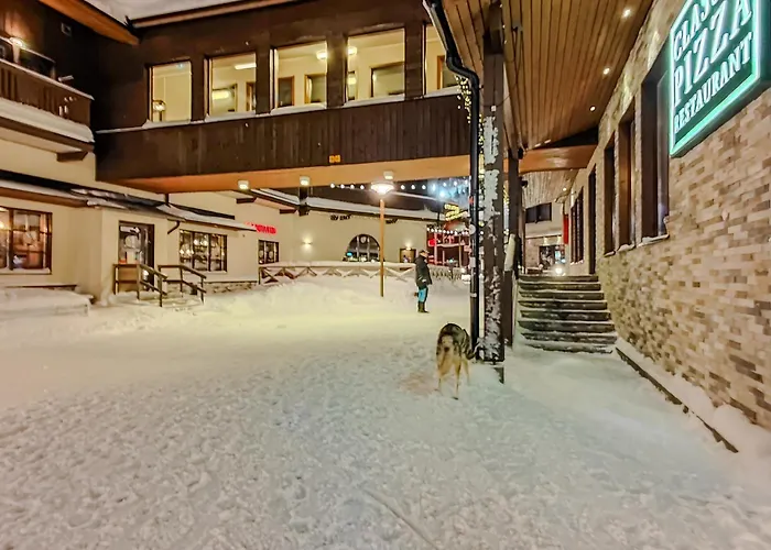 Apartmán Karhunpesae, *